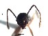  ( - BC25D10A1T1)  @12 [ ] CreativeCommons - Attribution (2015) David Donoso UTPL