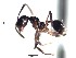  ( - BC25D10A1T1)  @12 [ ] CreativeCommons - Attribution (2015) David Donoso UTPL