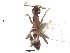  ( - BCET004)  @12 [ ] CreativeCommons - Attribution (2015) David Donoso UTPL
