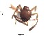  ( - BCET014)  @12 [ ] CreativeCommons - Attribution (2015) David Donoso UTPL