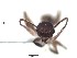  ( - BCYT230)  @12 [ ] CreativeCommons - Attribution (2015) David Donoso UTPL