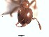  ( - BCYT289)  @12 [ ] CreativeCommons - Attribution (2015) David Donoso UTPL