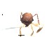  ( - BCYT447)  @12 [ ] CreativeCommons - Attribution (2015) David Donoso UTPL