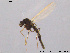  ( - GL27)  @13 [ ] CreativeCommons - Attribution Non-Commercial Share-Alike (2011) Elisabeth Stur Norwegian University of Science and Technology, Museum of Natural History and Archaeology