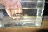  ( - TVI2)  @11 [ ] Copyright (c) (2020) Frederic D.B. Schedel University of Basel