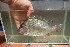  ( - UIE6)  @11 [ ] Copyright (c) (2021) Frederic D.B. Schedel University of Basel