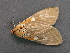  ( - DSCF-9257)  @12 [ ] Copyright (2011) Zubair Ahmed Research Collection of Zubair Ahmed