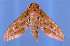  ( - ZA-0006)  @12 [ ] Copyright (2011) Zubair Ahmed Research Collection of Zubair Ahmed