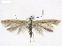  ( - NKU-ZBX0019)  @11 [ ] Copyright (2026) Unspecified Unspecified