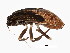  ( - BIOUG01000-H10)  @12 [ ] CreativeCommons - Attribution (2011) CBG Photography Group Centre for Biodiversity Genomics