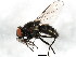  ( - BIOUG01013-E07)  @13 [ ] CreativeCommons - Attribution (2011) CBG Photography Group Centre for Biodiversity Genomics