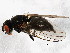  ( - BIOUG01013-G09)  @13 [ ] CreativeCommons - Attribution (2011) CBG Photography Group Centre for Biodiversity Genomics
