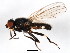  ( - BIOUG01014-A12)  @14 [ ] CreativeCommons - Attribution (2011) CBG Photography Group Centre for Biodiversity Genomics
