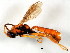  ( - BIOUG01044-C05)  @12 [ ] CreativeCommons - Attribution (2011) CBG Photography Group Centre for Biodiversity Genomics