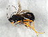  ( - BIOUG01913-A01)  @13 [ ] CreativeCommons - Attribution (2012) CBG Photography Group Centre for Biodiversity Genomics