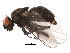  ( - BIOUG01914-B06)  @12 [ ] CreativeCommons - Attribution (2012) CBG Photography Group Centre for Biodiversity Genomics