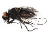  ( - BIOUG01914-B09)  @15 [ ] CreativeCommons - Attribution (2012) CBG Photography Group Centre for Biodiversity Genomics
