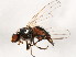  ( - BIOUG01914-C08)  @13 [ ] CreativeCommons - Attribution (2012) CBG Photography Group Centre for Biodiversity Genomics