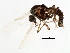  ( - BIOUG01915-A02)  @12 [ ] CreativeCommons - Attribution (2012) CBG Photography Group Centre for Biodiversity Genomics