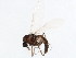  ( - BIOUG01915-A04)  @13 [ ] CreativeCommons - Attribution (2012) CBG Photography Group Centre for Biodiversity Genomics