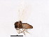  ( - BIOUG01915-A12)  @13 [ ] CreativeCommons - Attribution (2012) CBG Photography Group Centre for Biodiversity Genomics