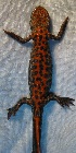  ( - BORKO019)  @13 [ ] Copyright  G. Blagoev 2010 Unspecified