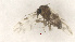 ( - Ent300)  @11 [ ] copyright (2014) Bergen Museum Bergen Museum