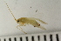  ( - HetNor183)  @11 [ ] CreativeCommons - Attribution Non-Commercial Share-Alike (2037) University of Bergen Natural History Collections