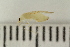  ( - HetNor187)  @11 [ ] CreativeCommons - Attribution Non-Commercial Share-Alike (2041) University of Bergen Natural History Collections