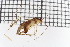  ( - HetNor216)  @11 [ ] CreativeCommons - Attribution Non-Commercial Share-Alike (2020) University of Bergen Natural History Collections