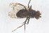  ( - RIKDIP23)  @12 [ ] CreativeCommons - Attribution Non-Commercial Share-Alike (2017) University of Bergen Natural History Collections