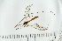  ( - IBOL_RIK_Tip57)  @11 [ ] CreativeCommons - Attribution Non-Commercial Share-Alike (2020) University of Bergen Natural History Collections