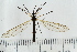  ( - IBOL_RIK_Tip59)  @11 [ ] CreativeCommons - Attribution Non-Commercial Share-Alike (2020) University of Bergen Natural History Collections