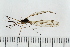  ( - IBOL_RIK_Tip65)  @11 [ ] CreativeCommons - Attribution Non-Commercial Share-Alike (2020) University of Bergen Natural History Collections