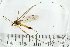  ( - IBOL_RIK_Tip67)  @11 [ ] CreativeCommons - Attribution Non-Commercial Share-Alike (2020) University of Bergen Natural History Collections