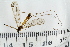 ( - IBOL_RIK_Tip70)  @11 [ ] CreativeCommons - Attribution Non-Commercial Share-Alike (2020) University of Bergen Natural History Collections