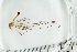  ( - IBOL_RIK_Tip73)  @11 [ ] CreativeCommons - Attribution Non-Commercial Share-Alike (2020) University of Bergen Natural History Collections