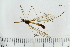  ( - IBOL_RIK_Tip80)  @11 [ ] CreativeCommons - Attribution Non-Commercial Share-Alike (2020) University of Bergen Natural History Collections