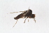  ( - RIKEMP10)  @11 [ ] CreativeCommons - Attribution Non-Commercial Share-Alike (2017) University of Bergen Natural History Collections