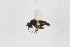  ( - RIKEMP104)  @11 [ ] CreativeCommons - Attribution Non-Commercial Share-Alike (2017) University of Bergen Natural History Collections