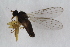  ( - RIKEMP74)  @11 [ ] CreativeCommons - Attribution Non-Commercial Share-Alike (2017) University of Bergen Natural History Collections