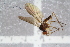  ( - RIKEMP91)  @11 [ ] CreativeCommons - Attribution Non-Commercial Share-Alike (2017) University of Bergen Natural History Collections