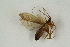  ( - RIKTRI27)  @12 [ ] CreativeCommons - Attribution Non-Commercial Share-Alike (2017) University of Bergen Natural History Collections