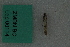  ( - ZMBN BC Lep 00114)  @12 [ ] CreativeCommons - Attribution Non-Commercial Share-Alike (2016) University of Bergen Natural History Collections