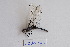 ( - ZOdon056)  @11 [ ] CreativeCommons  Attribution Non-Commercial Share-Alike (2023) Michaela Sonnleitner NHM Vienna