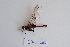  ( - ZOdon062)  @11 [ ] CreativeCommons  Attribution Non-Commercial Share-Alike (2023) Michaela Sonnleitner NHM Vienna