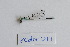  ( - ZOdon077)  @11 [ ] CreativeCommons  Attribution Non-Commercial Share-Alike (2023) Michaela Sonnleitner NHM Vienna