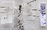  ( - ZOdon113)  @11 [ ] CreativeCommons  Attribution Non-Commercial Share-Alike (2023) Michaela Sonnleitner NHM Vienna