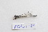  ( - ZOdon131)  @11 [ ] CreativeCommons  Attribution Non-Commercial Share-Alike (2023) Michaela Sonnleitner NHM Vienna