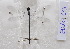  ( - ZOdon133)  @11 [ ] CreativeCommons  Attribution Non-Commercial Share-Alike (2023) Michaela Sonnleitner NHM Vienna